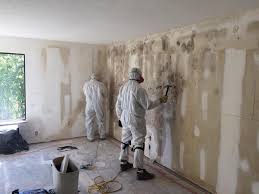 Best Mold Odor Removal Services  in USA